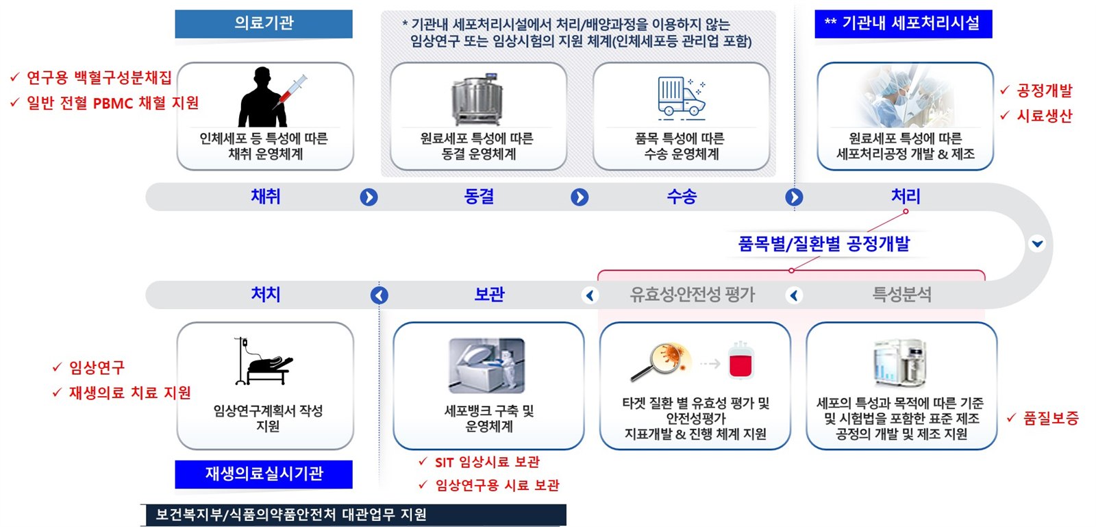 첨단세포유전자치료센터 원스톱 지원 흐름도 — 채취(연구용 백혈구성분채집·일반 전혈 PBMC 채혈 지원) → 동결 → 수송 → 처리(공정개발·시료생산) → 특성분석 → 유효성·안전성 평가 → 보관(세포뱅크 구축·SIT 임상시료 보관) → 처치(임상연구·재생의료 치료 지원). 품목별·질환별 공정개발 및 품질보증 지원, 보건복지부·식품의약품안전처 대관업무 지원.